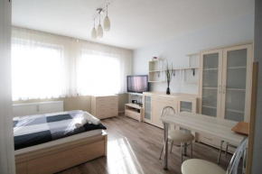 01 Gdynia Centrum - Apartament Mieszkanie dla 2 os in Gdynia